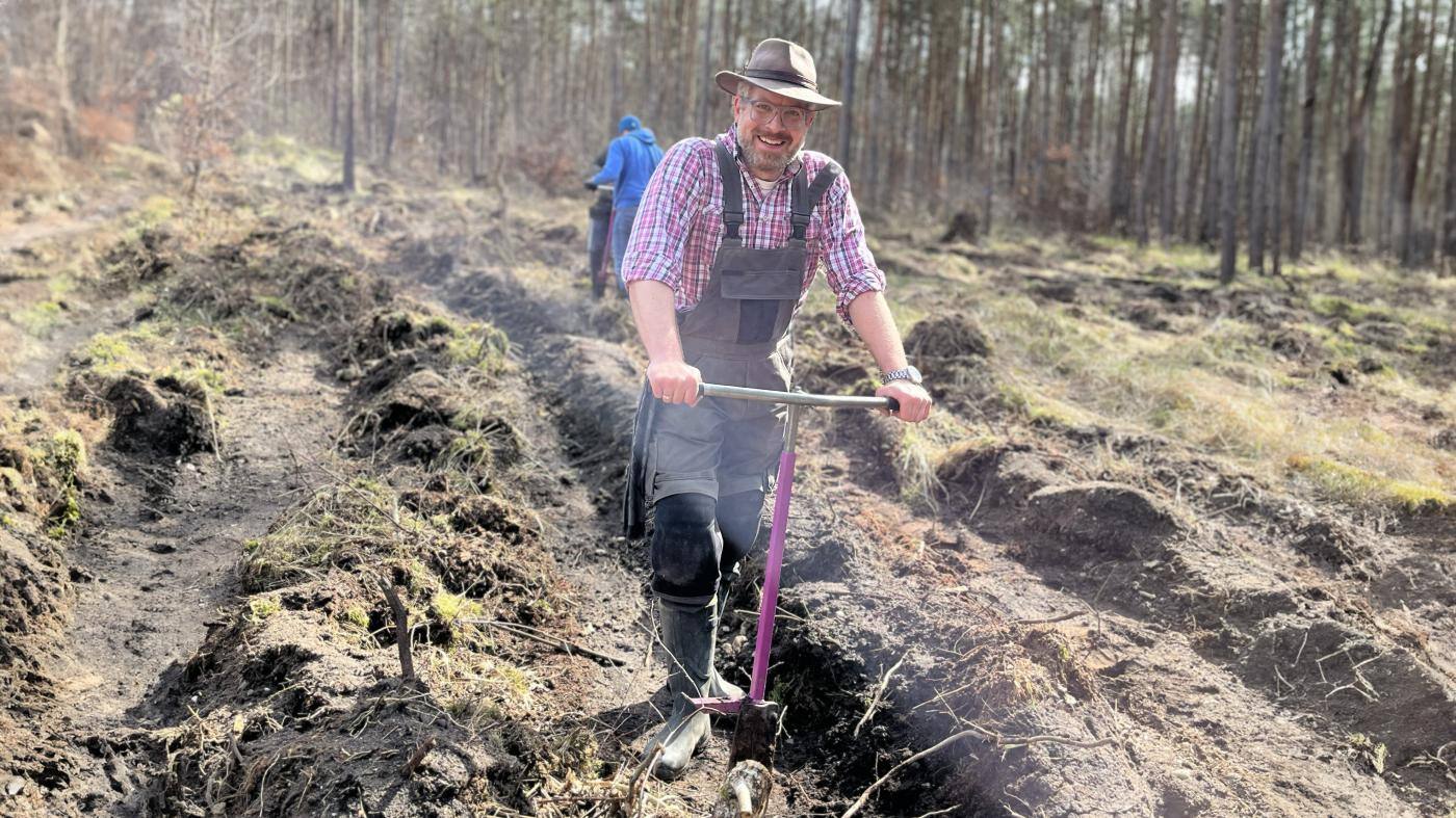 From Spreadsheets to Spreading Trees