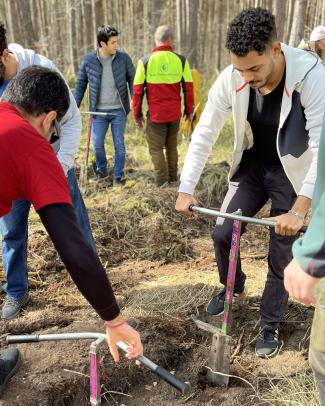 a few man planting trees